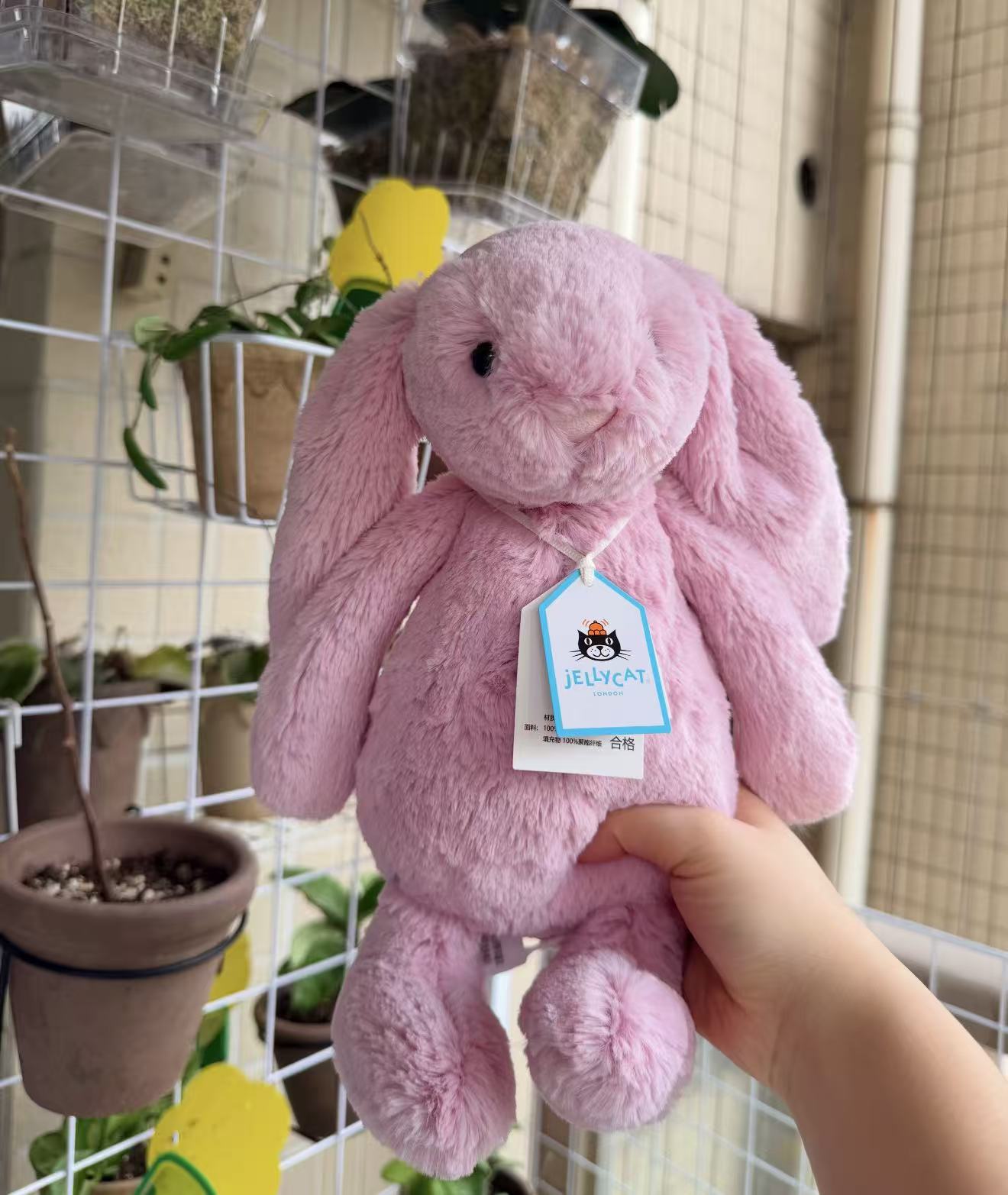 Jellycat Bashful Tulip Pink Bunny | Jellycat Australia – Sydney Labubu